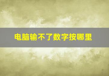 电脑输不了数字按哪里