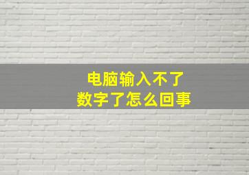 电脑输入不了数字了怎么回事