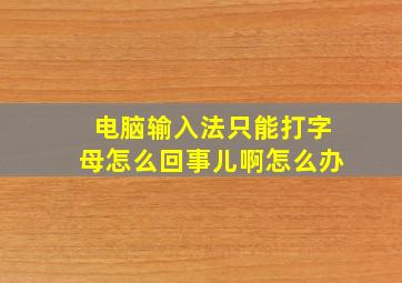 电脑输入法只能打字母怎么回事儿啊怎么办