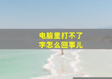 电脑里打不了字怎么回事儿