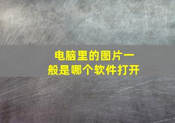 电脑里的图片一般是哪个软件打开