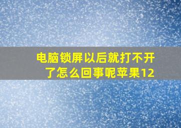 电脑锁屏以后就打不开了怎么回事呢苹果12