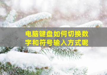 电脑键盘如何切换数字和符号输入方式呢