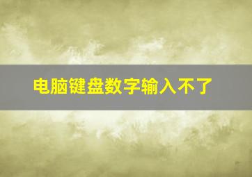 电脑键盘数字输入不了