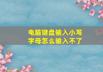 电脑键盘输入小写字母怎么输入不了