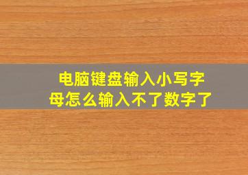 电脑键盘输入小写字母怎么输入不了数字了