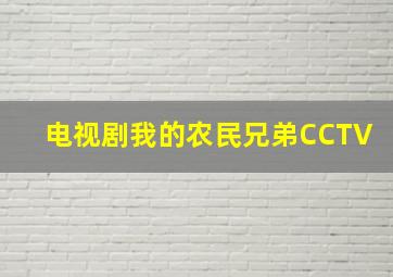 电视剧我的农民兄弟CCTV