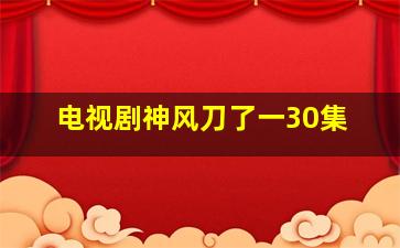 电视剧神风刀了一30集