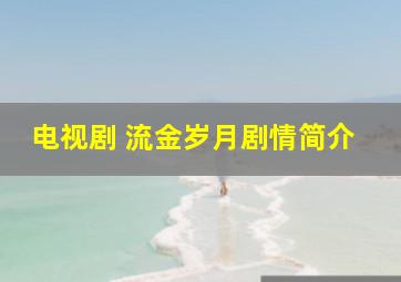 电视剧 流金岁月剧情简介