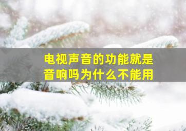 电视声音的功能就是音响吗为什么不能用