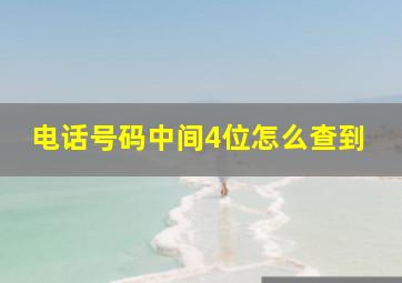 电话号码中间4位怎么查到