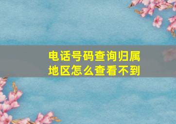 电话号码查询归属地区怎么查看不到