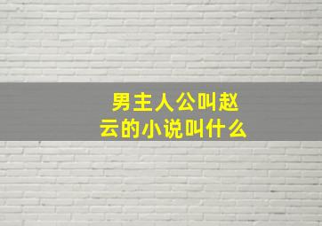 男主人公叫赵云的小说叫什么