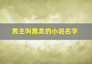 男主叫黑龙的小说名字