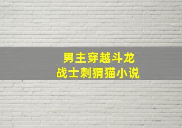 男主穿越斗龙战士刺猬猫小说