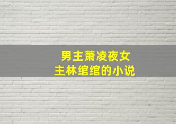 男主萧凌夜女主林绾绾的小说