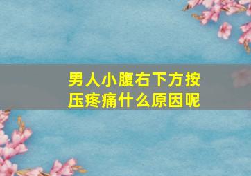 男人小腹右下方按压疼痛什么原因呢