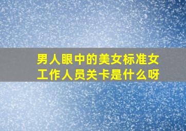 男人眼中的美女标准女工作人员关卡是什么呀