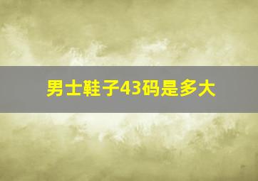 男士鞋子43码是多大