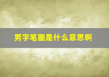 男字笔画是什么意思啊