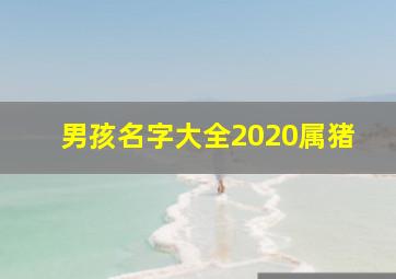 男孩名字大全2020属猪