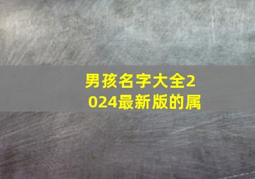 男孩名字大全2024最新版的属