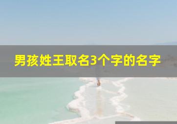 男孩姓王取名3个字的名字