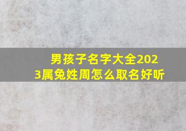 男孩子名字大全2023属兔姓周怎么取名好听