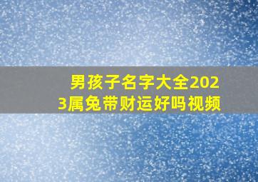 男孩子名字大全2023属兔带财运好吗视频