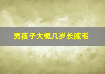 男孩子大概几岁长腋毛