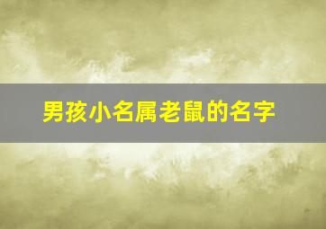 男孩小名属老鼠的名字