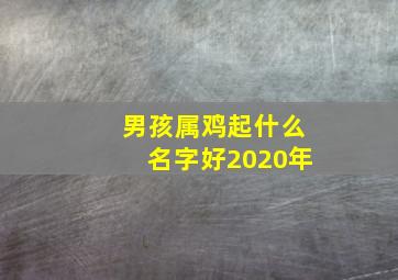 男孩属鸡起什么名字好2020年