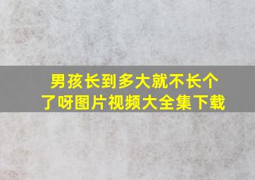 男孩长到多大就不长个了呀图片视频大全集下载