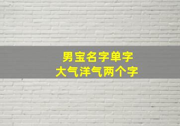 男宝名字单字大气洋气两个字