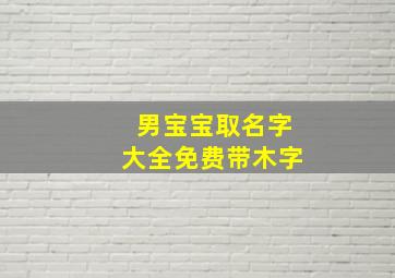 男宝宝取名字大全免费带木字