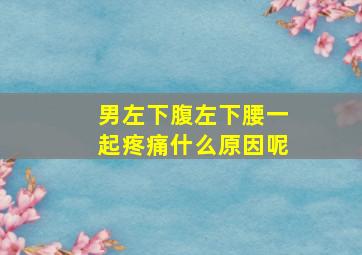 男左下腹左下腰一起疼痛什么原因呢