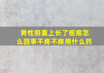 男性阴囊上长了疙瘩怎么回事不疼不痒用什么药