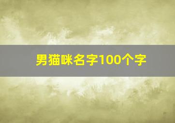 男猫咪名字100个字