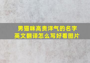 男猫咪高贵洋气的名字英文翻译怎么写好看图片