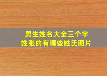 男生姓名大全三个字姓张的有哪些姓氏图片