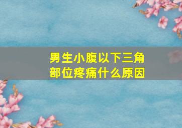 男生小腹以下三角部位疼痛什么原因