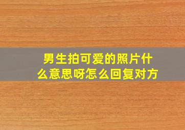 男生拍可爱的照片什么意思呀怎么回复对方