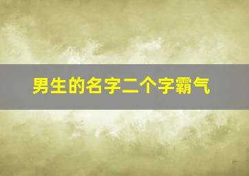 男生的名字二个字霸气