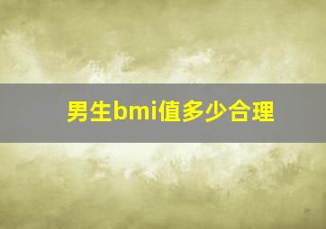 男生bmi值多少合理