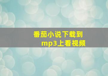 番茄小说下载到mp3上看视频