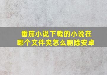 番茄小说下载的小说在哪个文件夹怎么删除安卓