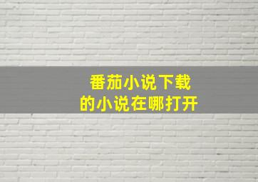 番茄小说下载的小说在哪打开