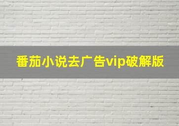 番茄小说去广告vip破解版