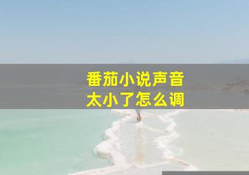 番茄小说声音太小了怎么调