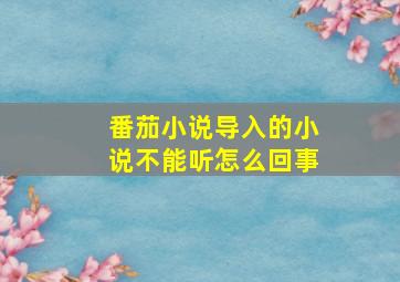 番茄小说导入的小说不能听怎么回事